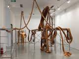 第十二届全国美展实验艺术展