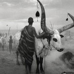 Salgado：史诗般《创世纪》