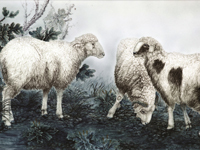 三羊开泰 瓷板画
