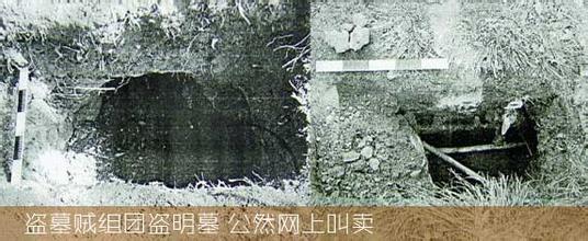 盗墓贼组团盗明墓 公然网上叫卖