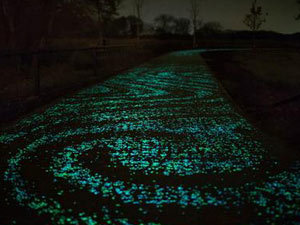 荷兰艺术家打造“星夜车道”