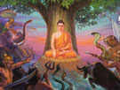 佛教中的四圣谛