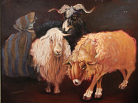 《三只羊》