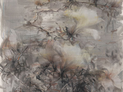 玉兰 2013No.1