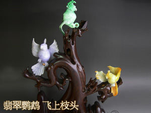 鹦鹉