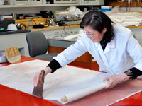 博物馆专项培训中国书画保管人才
