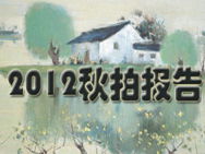2012秋拍报告