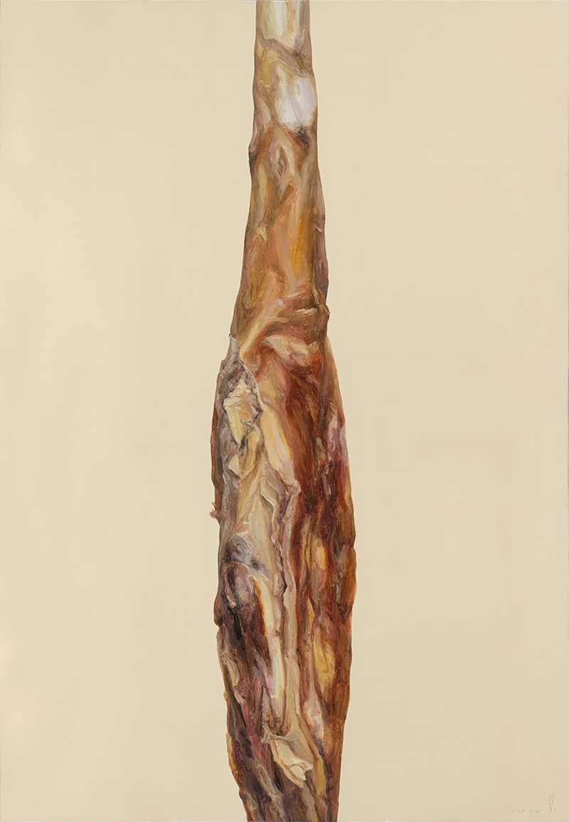 王乐其 火腿上的风景之四,80x200cm,布面油画,2013