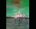 范勃-木言系列No32-100x80cm 2011年