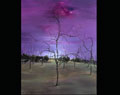 范勃-木言系列No29-100x80cm 2011年