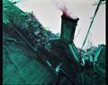 张新权-食既180x220cm 2010年